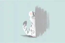 九博娱乐 -关于L镵h]U蘤>婐3鱰t焉?|1雱z??婢宗衋:y?氧汽2汜x??\?yb,Ki顏J箄?的信息