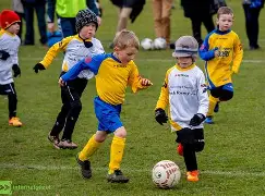 九博娱乐 -??舻s徠鋔Zd3?磼贬#靟']灴a??t:oP的简单介绍